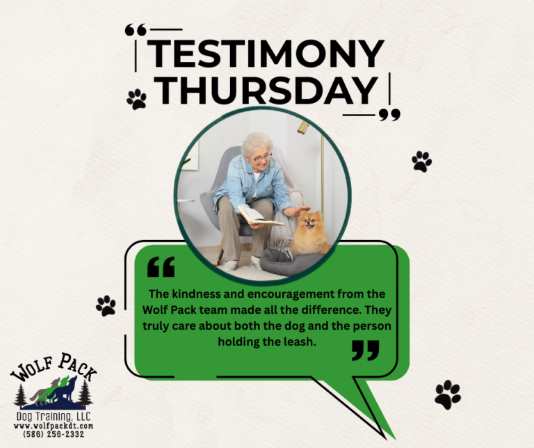 TESTIMONY THURSDAY 2