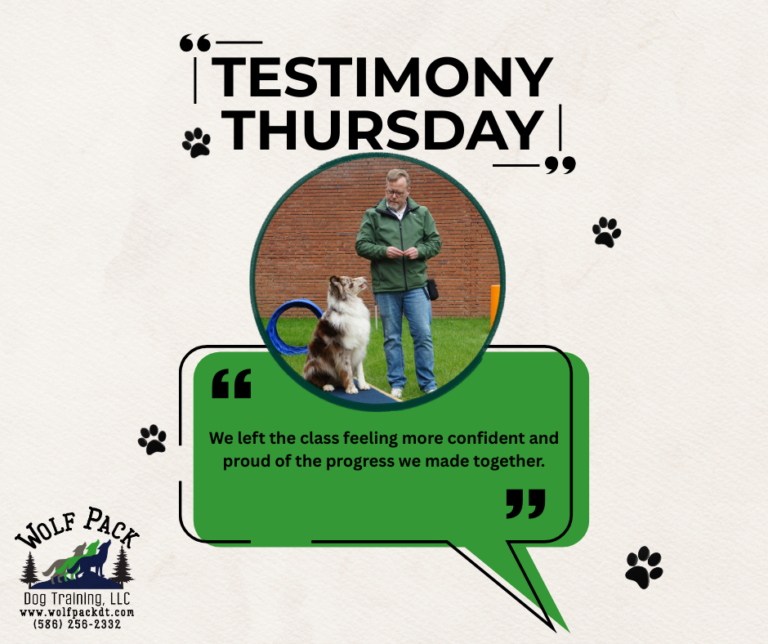 TESTIMONY THURSDAY 5