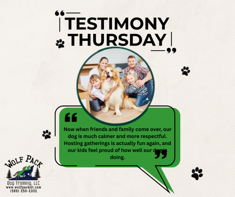 TESTIMONY THURSDAY (6