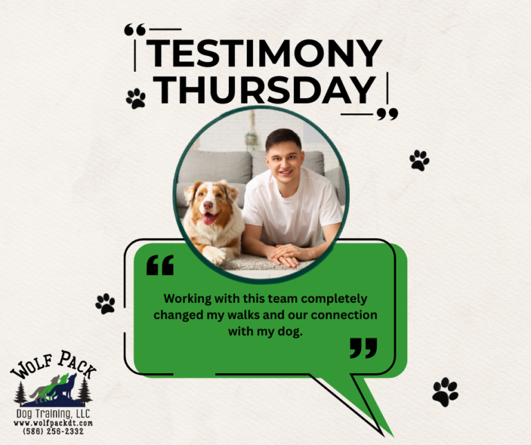 TESTIMONY Thursday