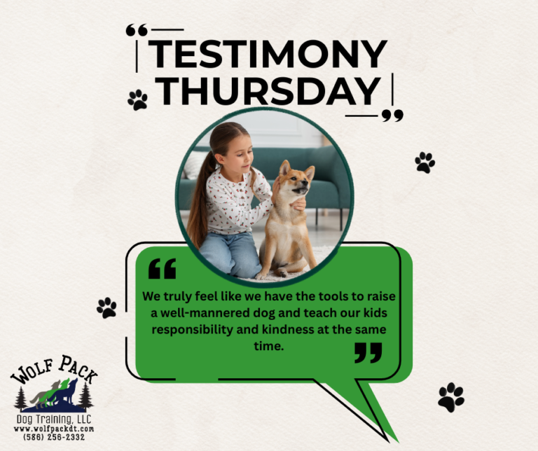 Testimony Thursday 1