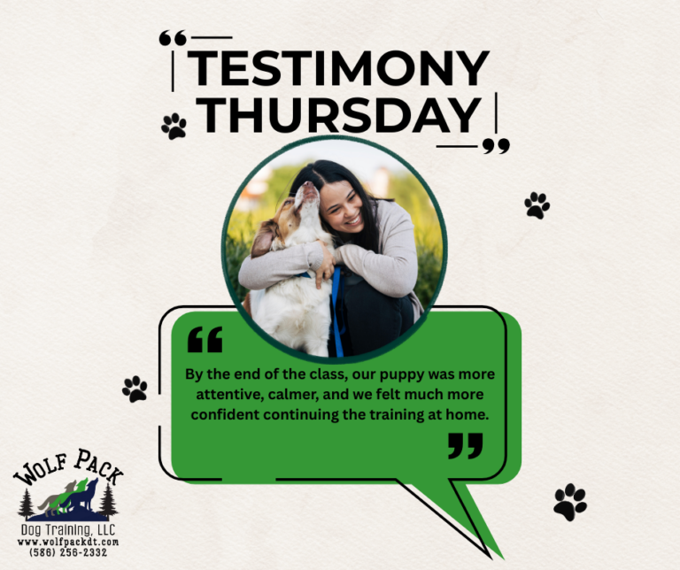 Testimony Thursday 3