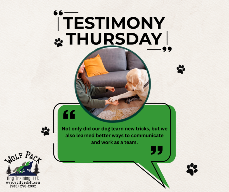 Testimony Thursday 4