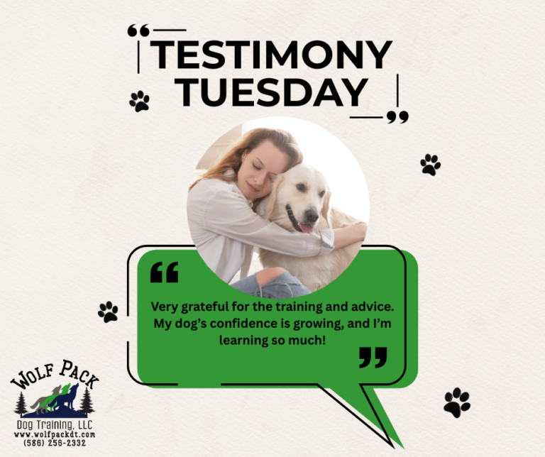 Testimony Tuesday